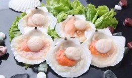 爆料海鲜扇贝怎么做视频,轻松学会家常美味